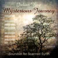 Mysterious Journey by Julian Ray